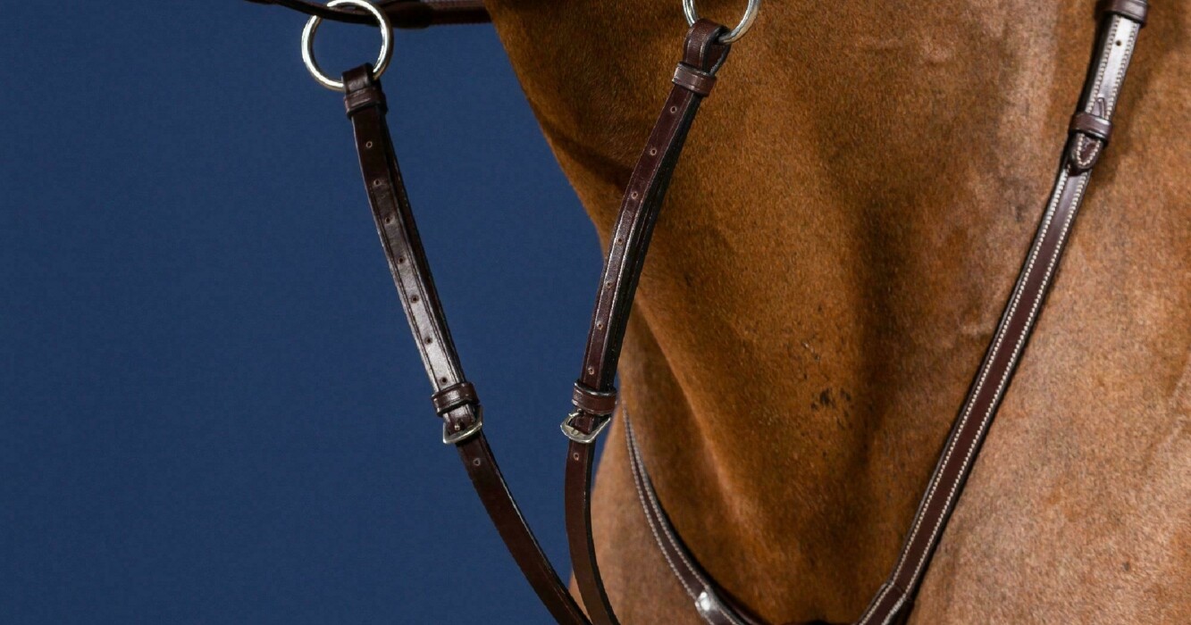 Running Martingale Attachment Brown Full US Collection Dy’on