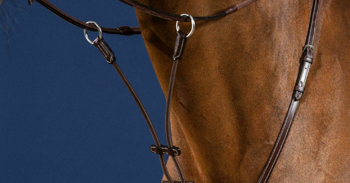 Elastic Running Martingale Attachment Brown Full US Collection Dy’on