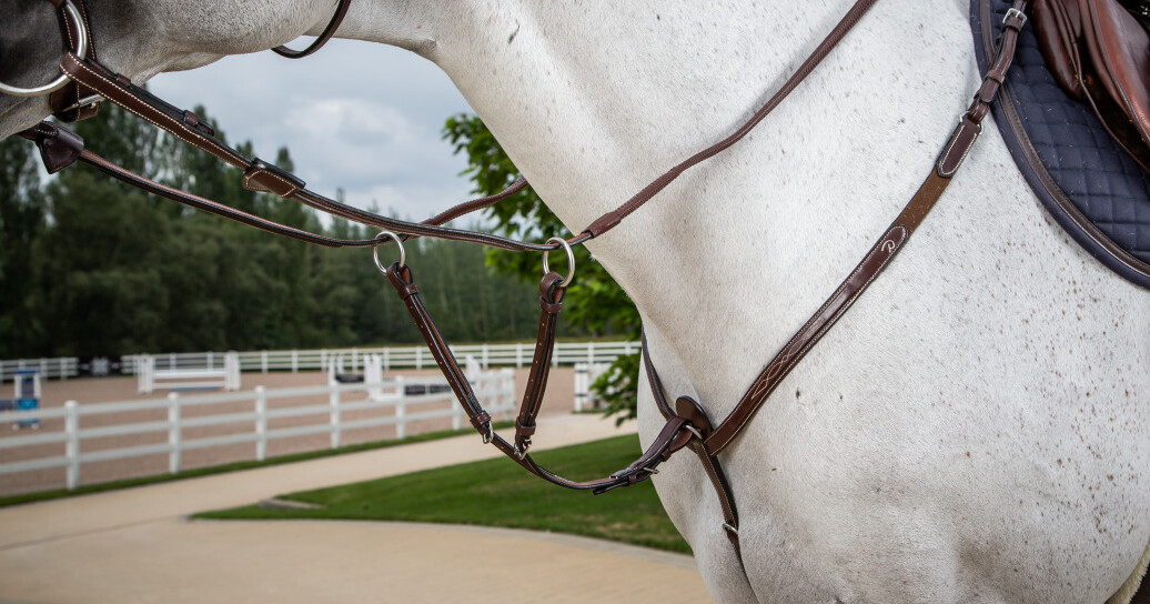 Running Martingale Attachment Black Full US Collection Dy’on