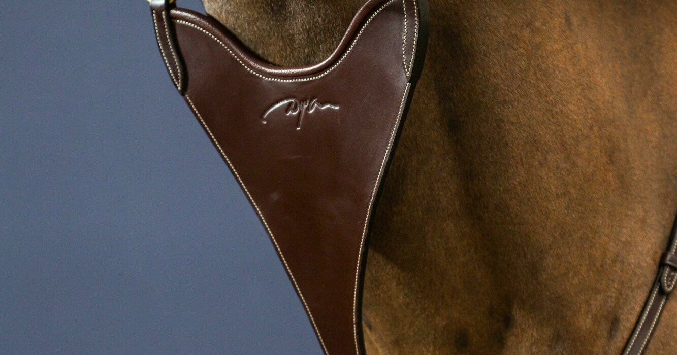 Hard Bib Martingale Attachment Brown Full D Collection Dy’on