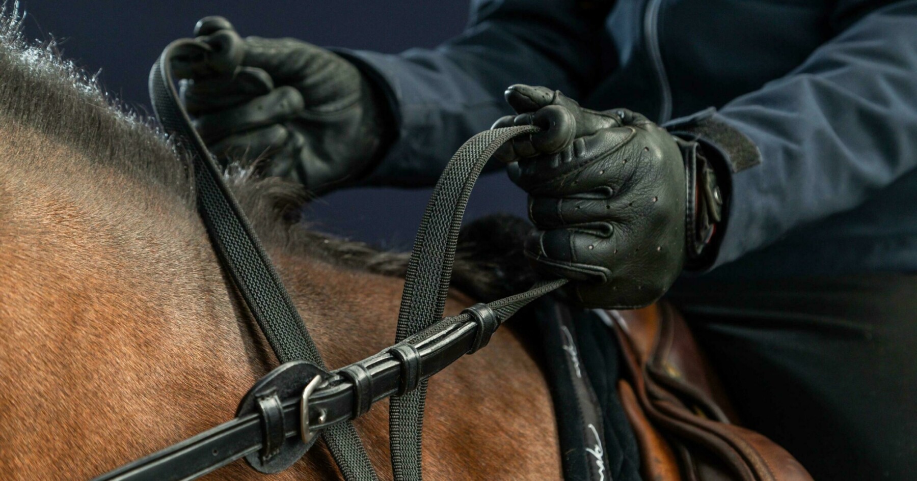 Rênes CWD Toile Contact | Rênes