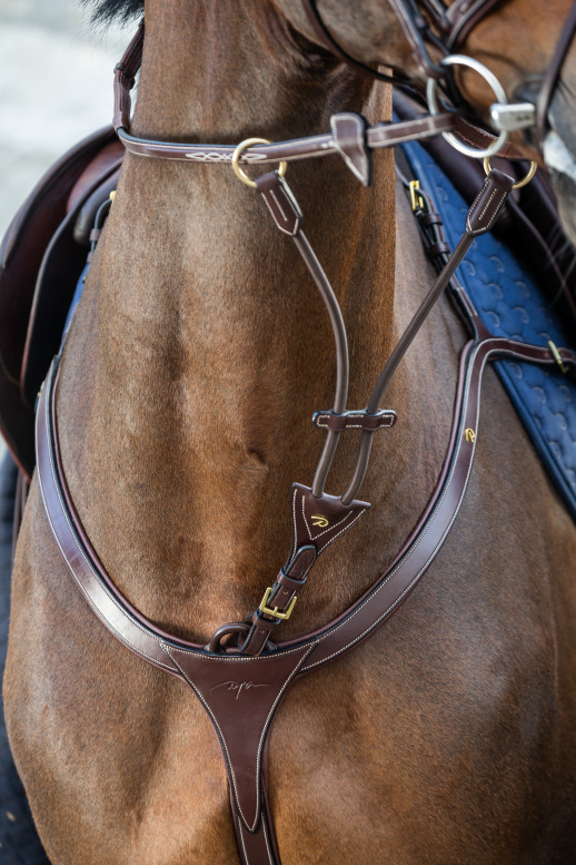 Elastic Running Martingale Attachment Brown Full D Collection Dy’on