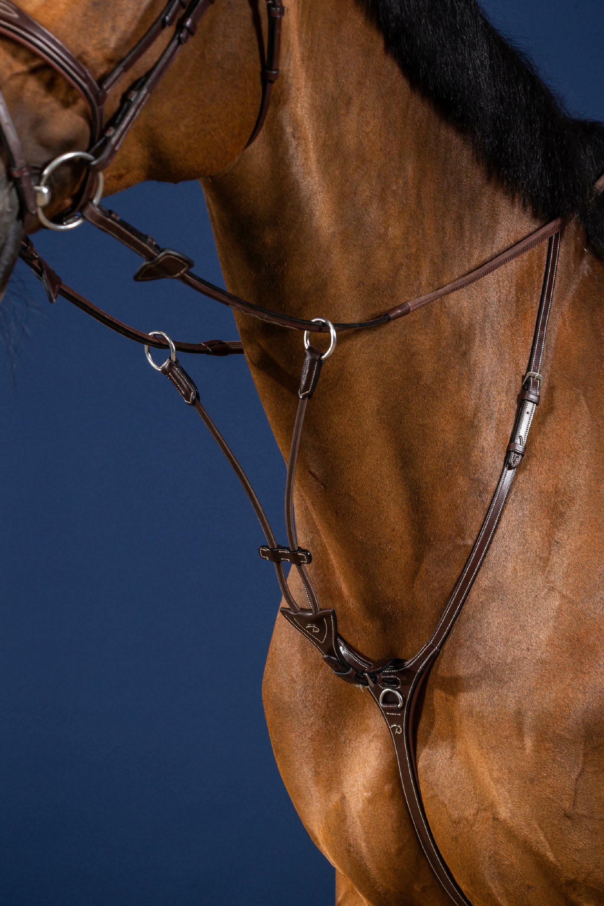 Elastic Running Martingale Attachment Brown Full US Collection Dy’on