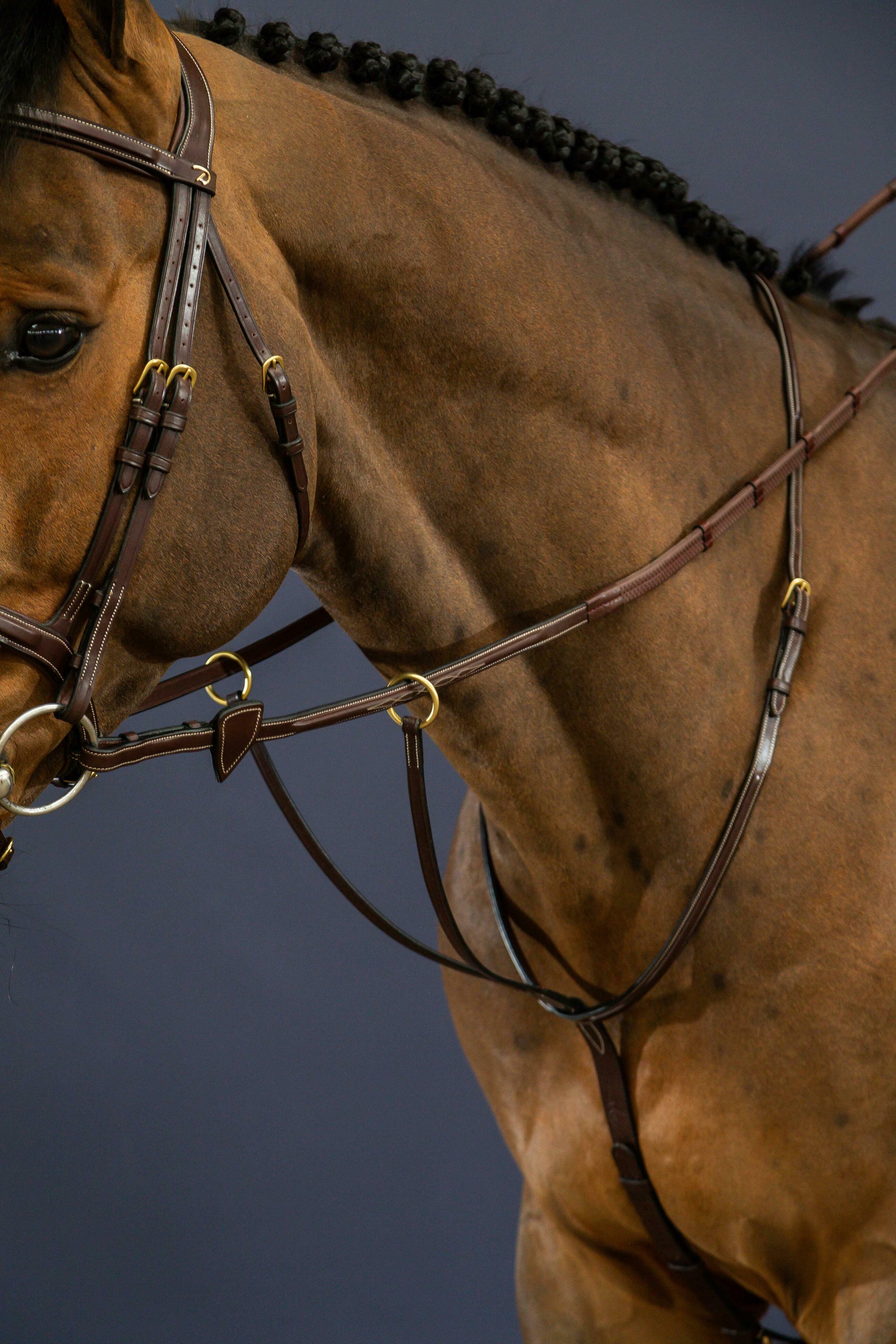 Running Martingale Brown Full D Collection Dy’on