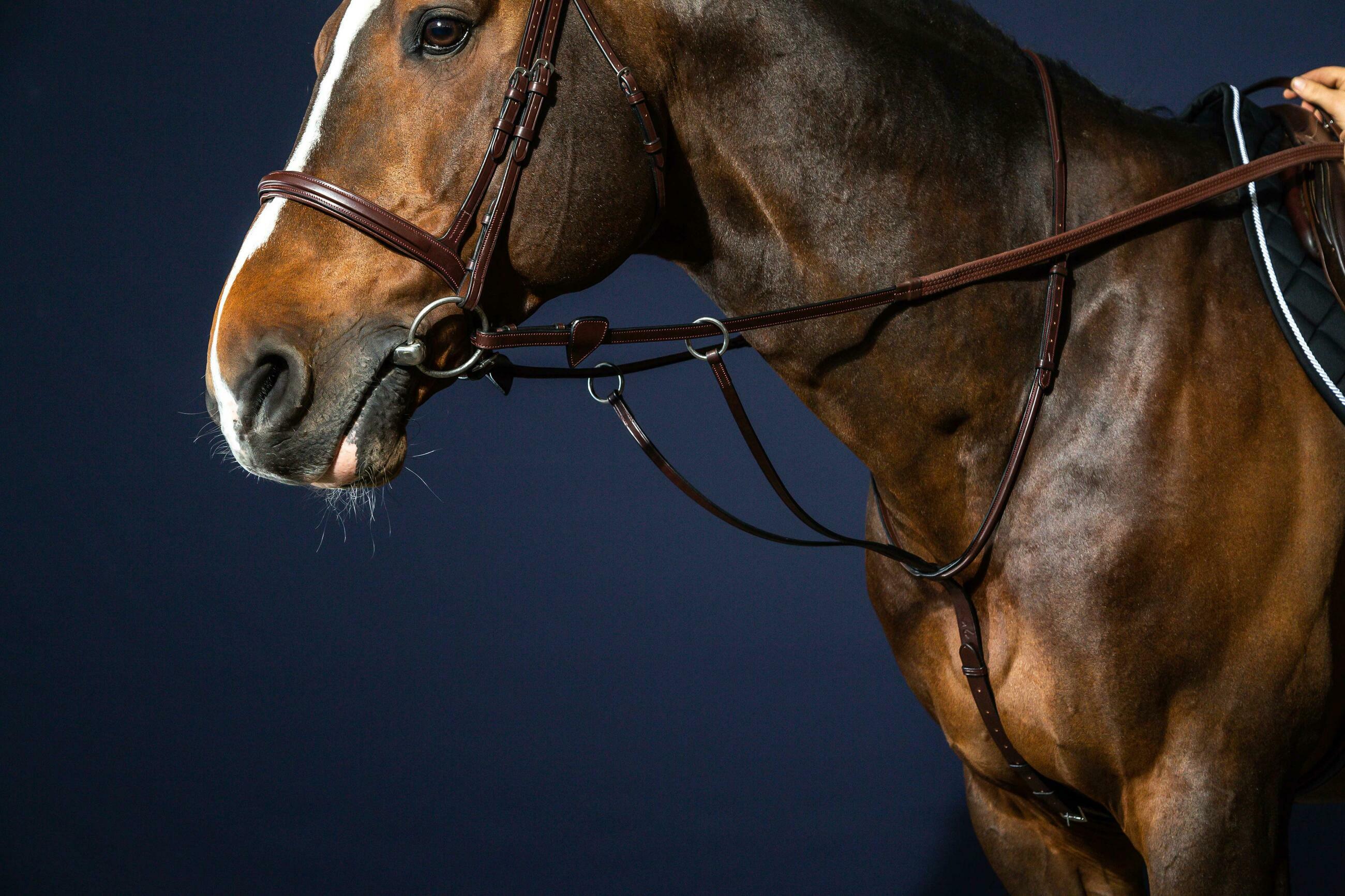 Running Martingale Brown Full New English Collection Dy’on