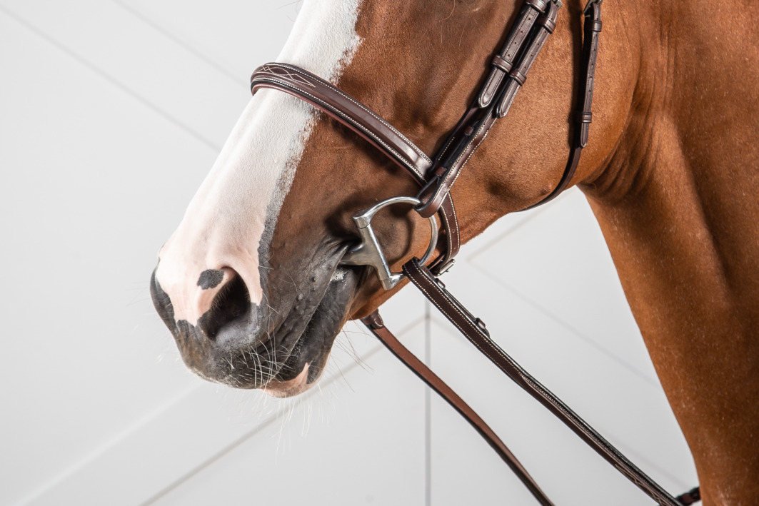 Shires Cavesson Muserolle Uni | Cuir Qualité Pour Cheval | Raccords Acier Inoxydable | Équitation